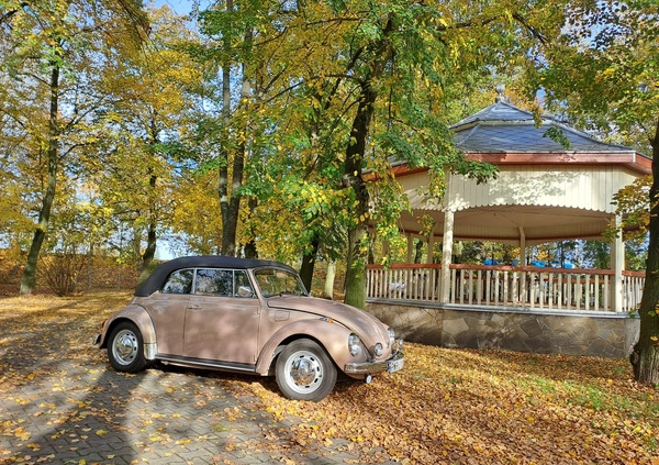 Volkswagen Garbus cena 95000 przebieg: 86000, rok produkcji 1971 z Września małe 667